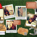horses collage
