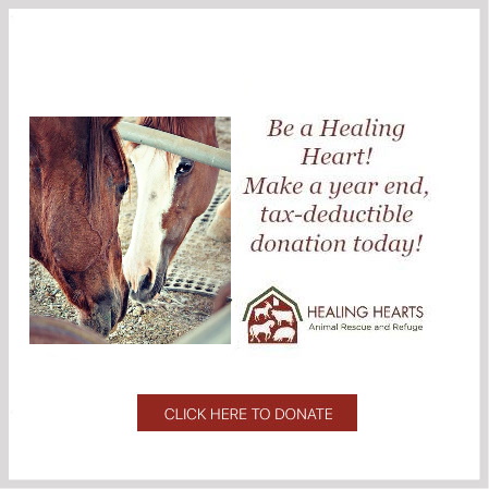 Healing Hearts Animal Rescue